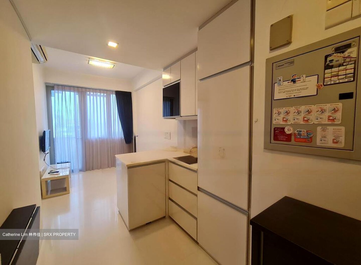 Loft @ Stevens (D10), Apartment #464383071